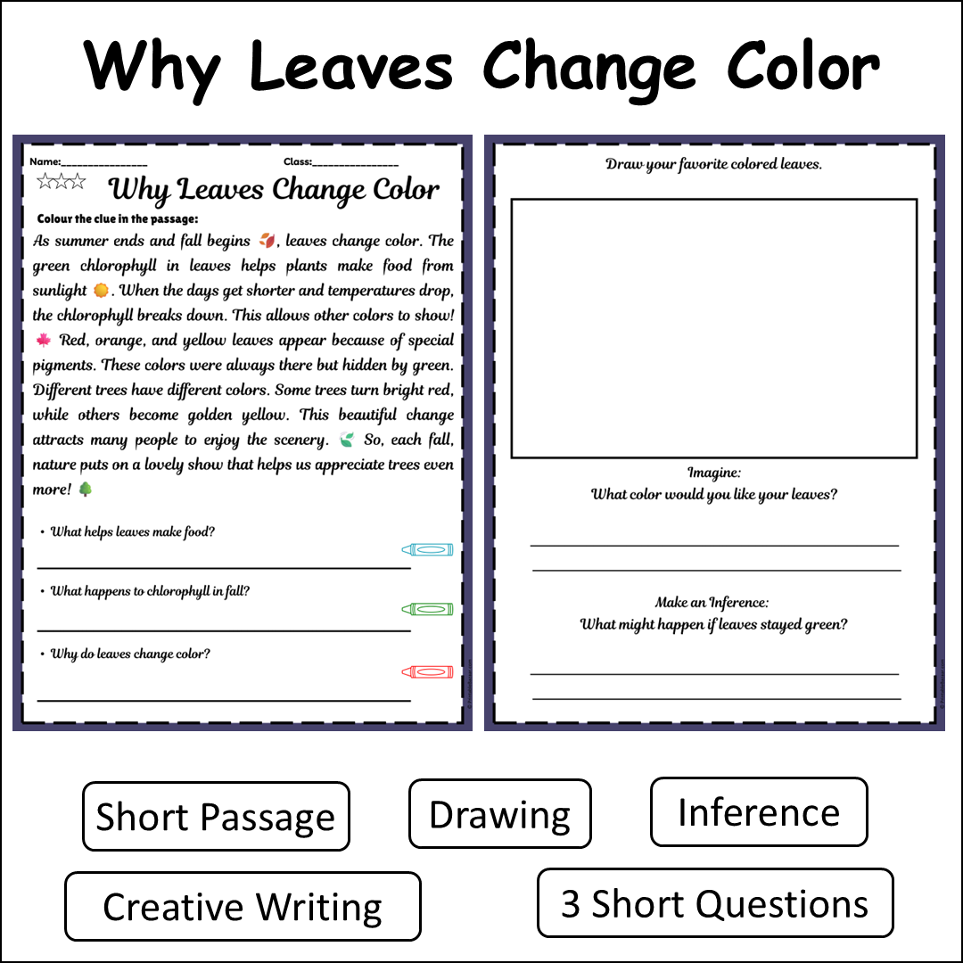 Why Leaves Change Color | Short Reading Comprehension Creative Worksheet