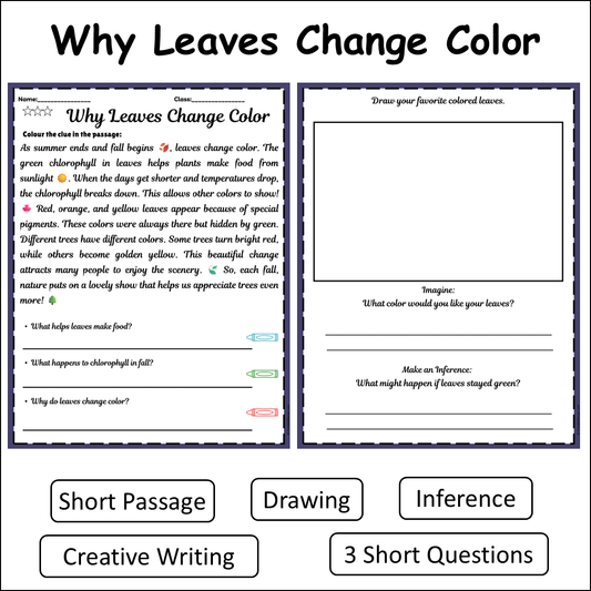 Why Leaves Change Color | Short Reading Comprehension Creative Worksheet