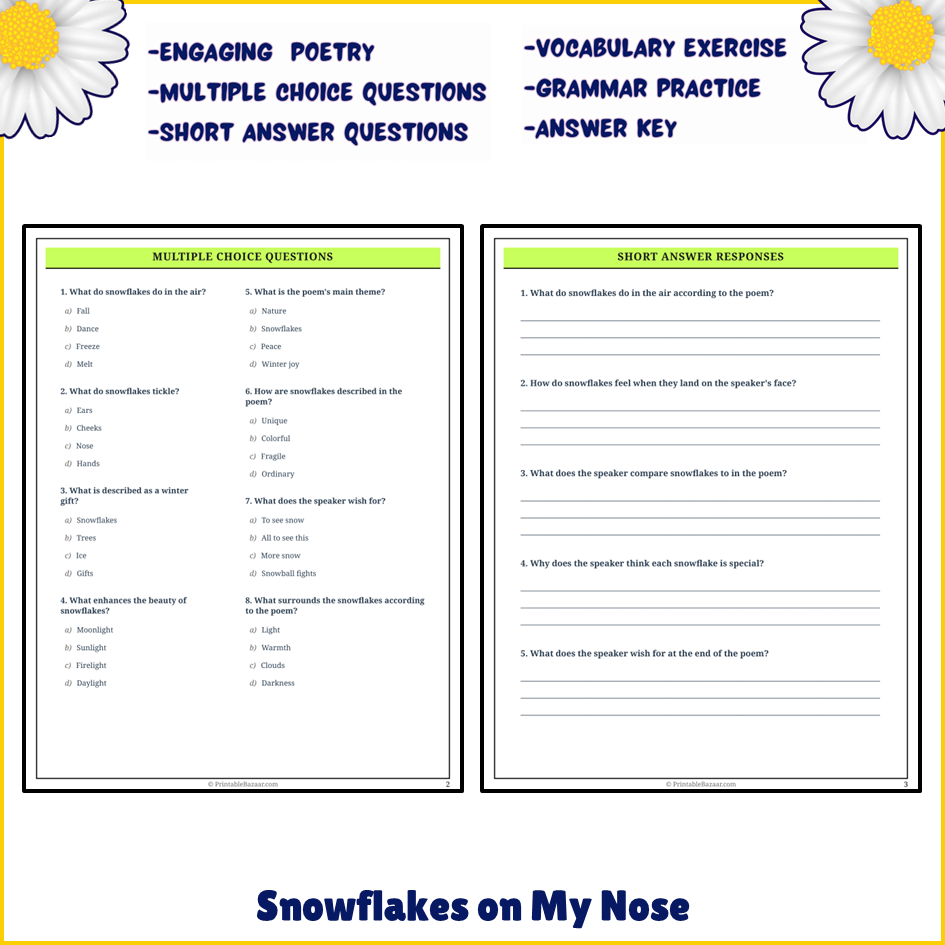 Snowflakes on My Nose | Poem Grammar Worksheet Printable Activity