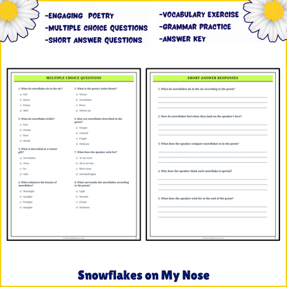 Snowflakes on My Nose | Poem Grammar Worksheet Printable Activity