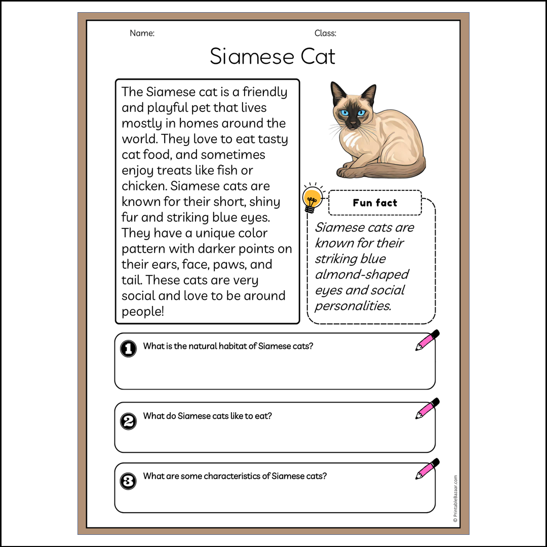 Siamese Cat | Reading Passage Comprehension Questions Writing Facts Worksheet