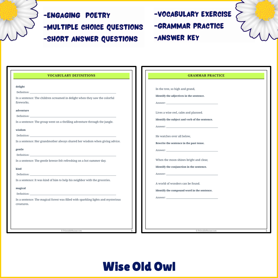 Wise Old Owl | Poem Grammar Worksheet Printable Activity