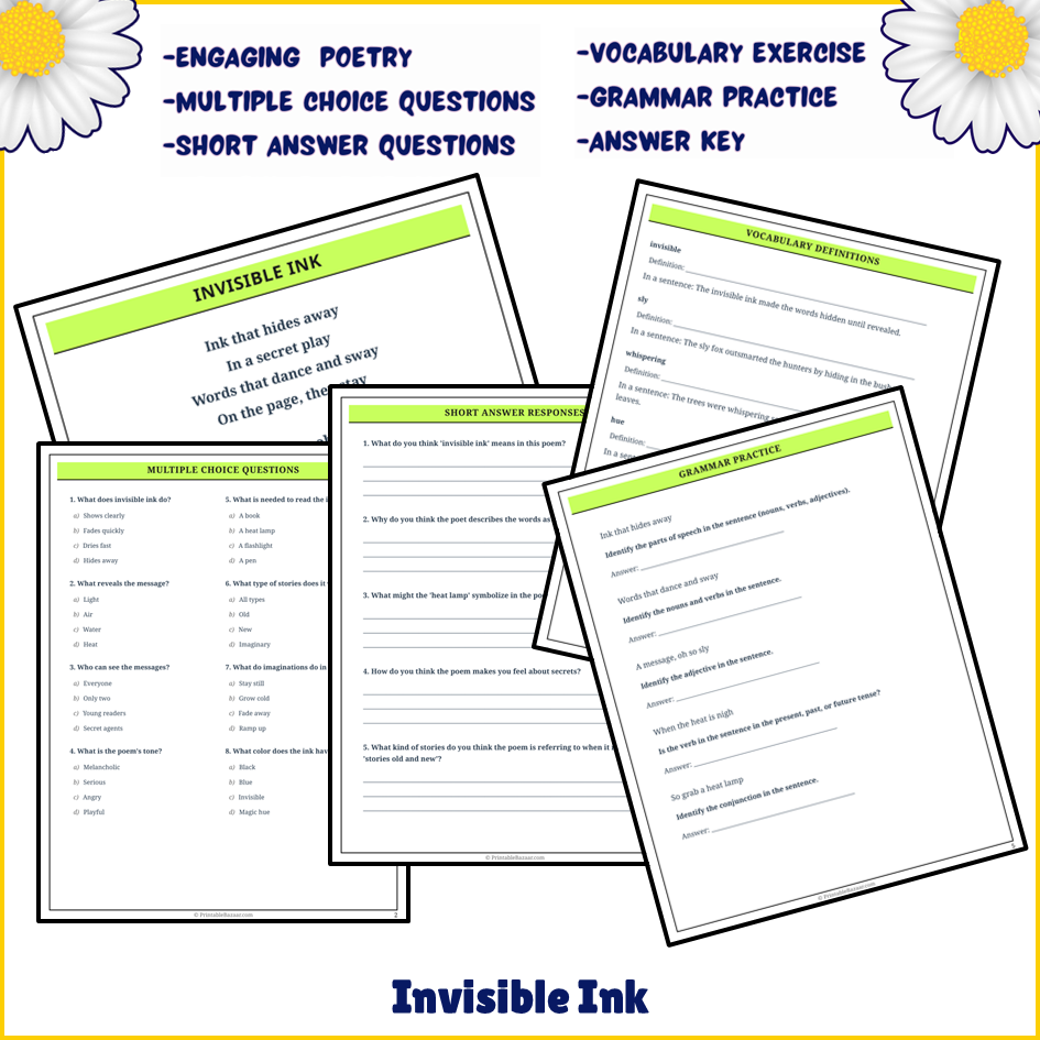 Invisible Ink | Poem Grammar Worksheet Printable Activity