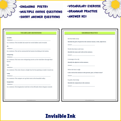 Invisible Ink | Poem Grammar Worksheet Printable Activity