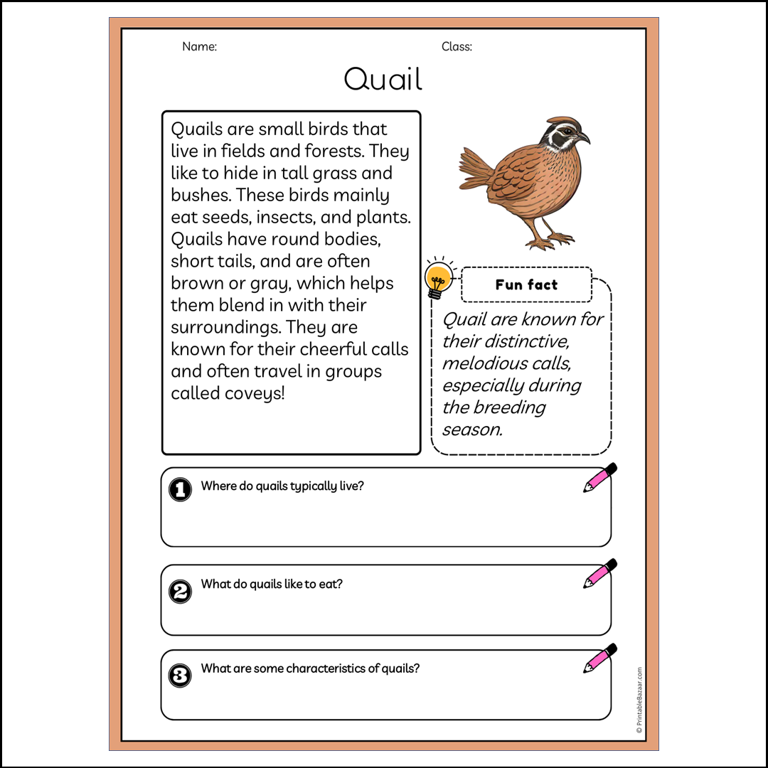 Quail | Reading Passage Comprehension Questions Writing Facts Worksheet