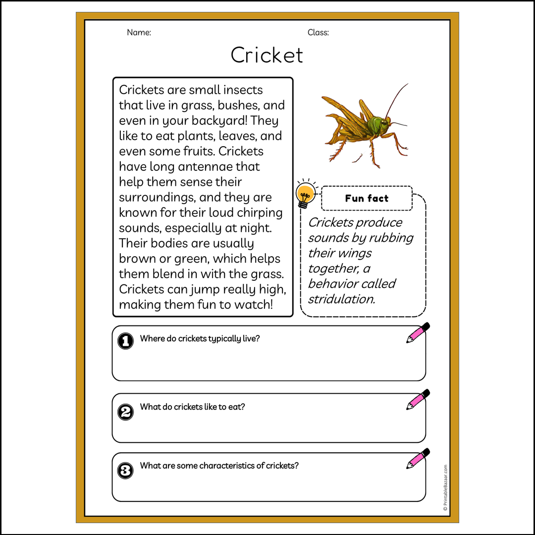 Cricket | Reading Passage Comprehension Questions Writing Facts Worksheet