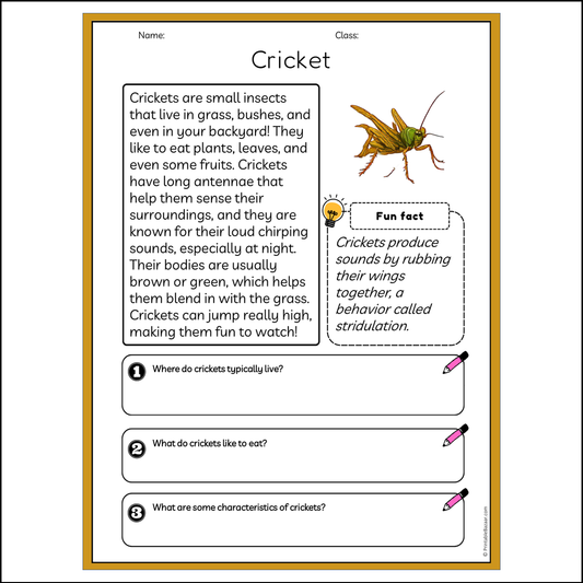 Cricket | Reading Passage Comprehension Questions Writing Facts Worksheet