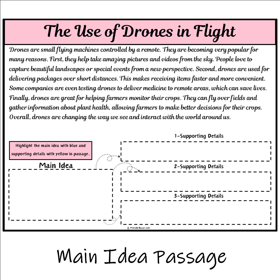 The Use of Drones in Flight | Main Idea and Supporting Details Reading Passage and Questions