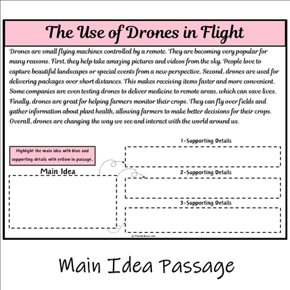 The Use of Drones in Flight | Main Idea and Supporting Details Reading Passage and Questions