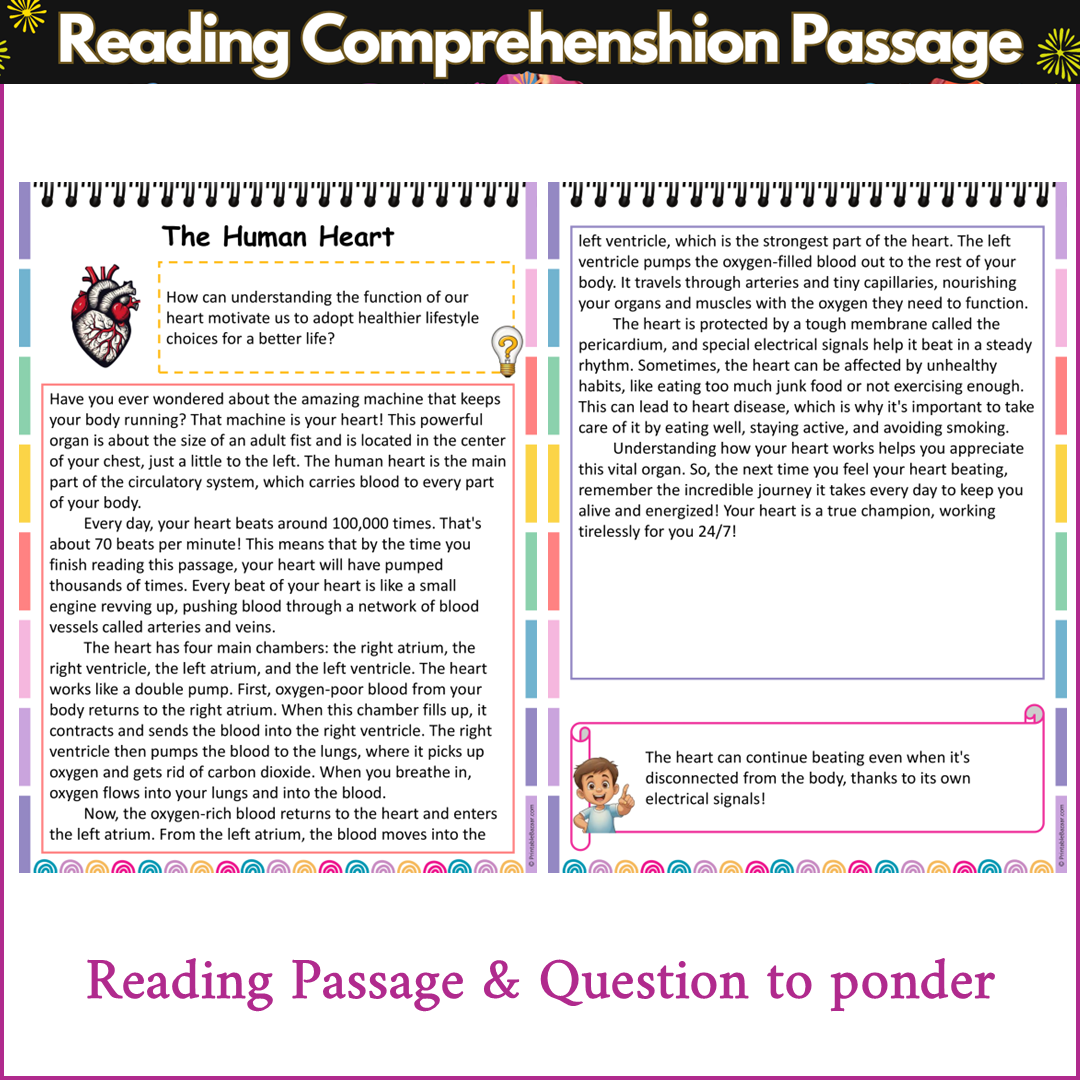 The Human Heart | Reading Comprehension Passage and Questions