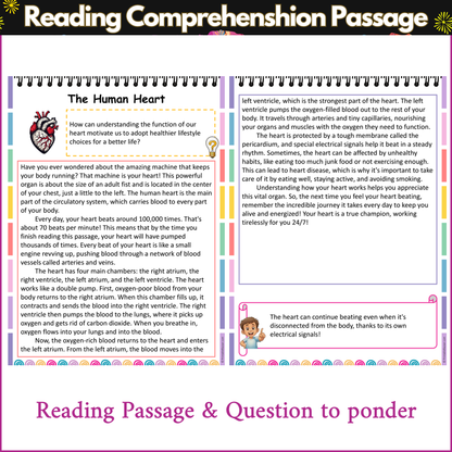 The Human Heart | Reading Comprehension Passage and Questions