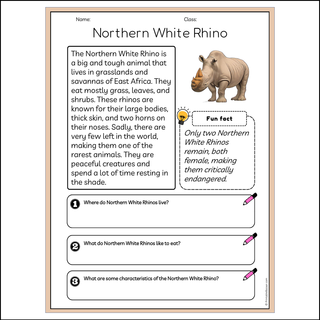 Northern White Rhino | Reading Passage Comprehension Questions Writing Facts Worksheet