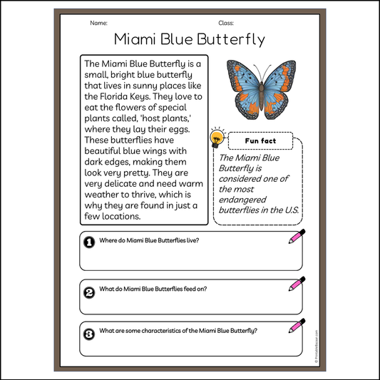 Miami Blue Butterfly | Reading Passage Comprehension Questions Writing Facts Worksheet