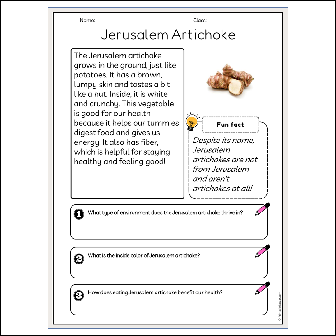 Jerusalem Artichoke | Reading Passage Comprehension Questions Writing Facts Worksheet