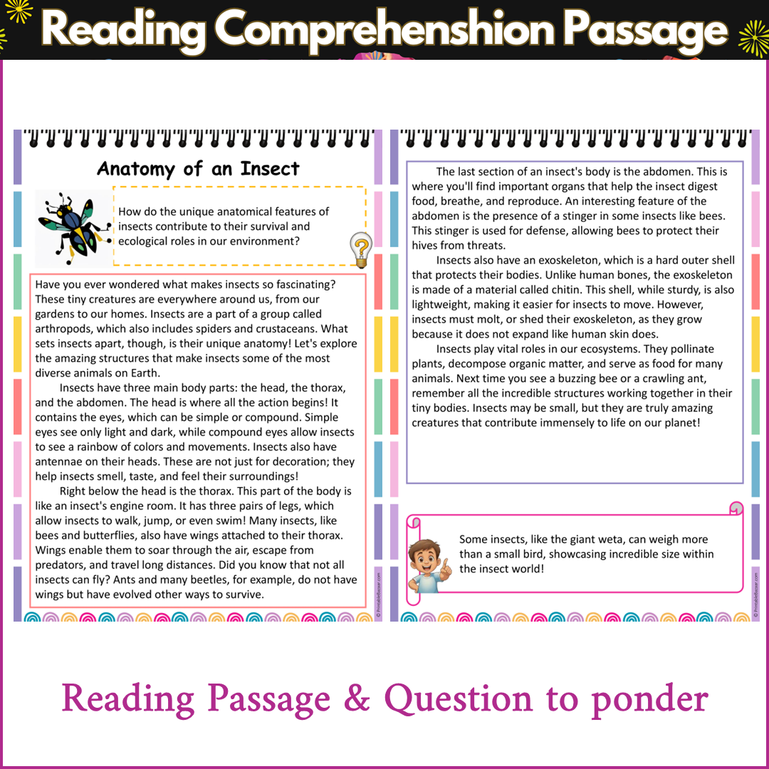 Anatomy of an Insect | Reading Comprehension Passage and Questions