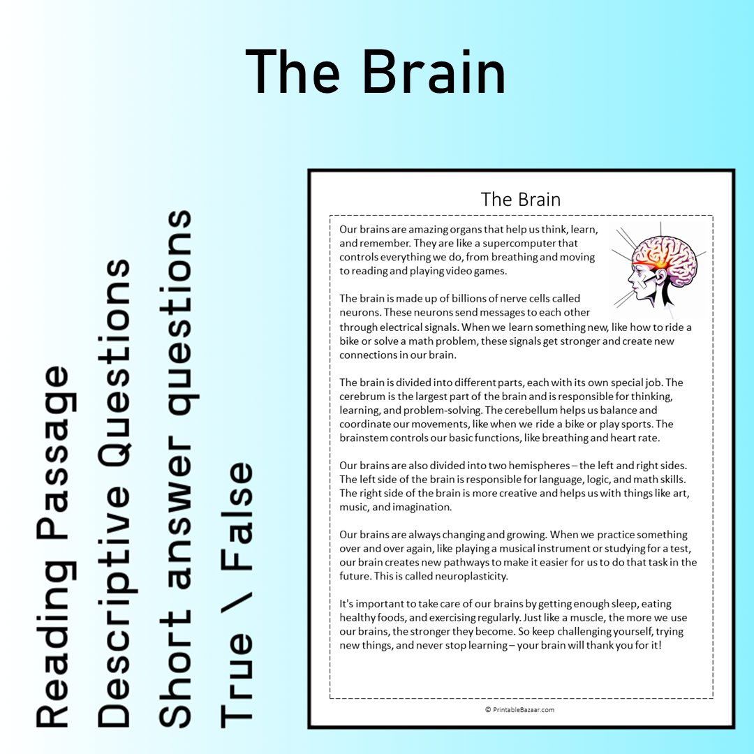 The Brain | Reading Comprehension Passage Printable Worksheet