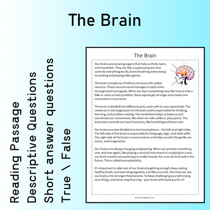 The Brain | Reading Comprehension Passage Printable Worksheet