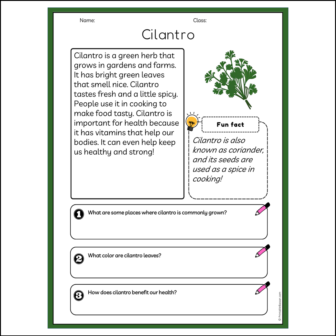 Cilantro | Reading Passage Comprehension Questions Writing Facts Worksheet