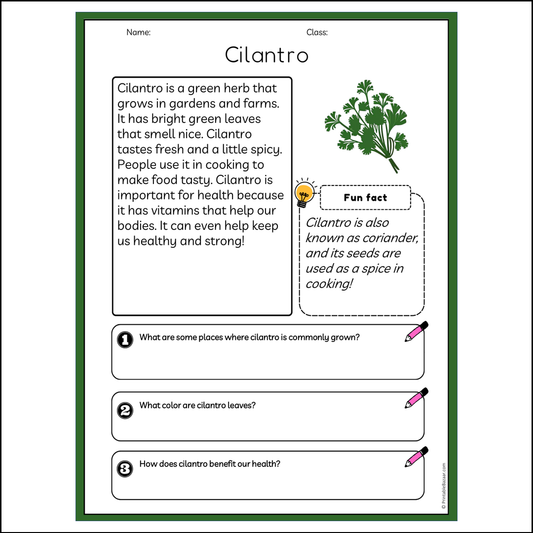 Cilantro | Reading Passage Comprehension Questions Writing Facts Worksheet