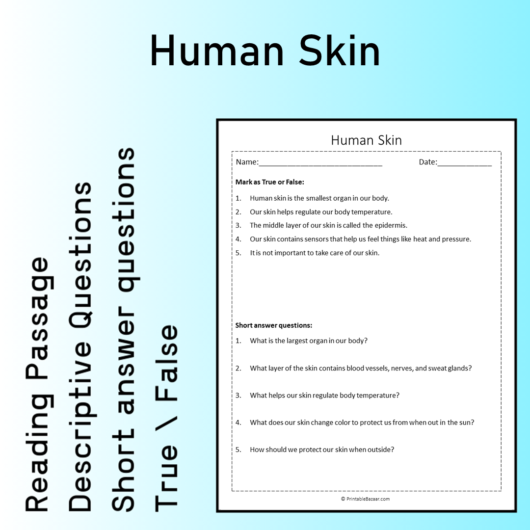 Human Skin | Reading Comprehension Passage Printable Worksheet
