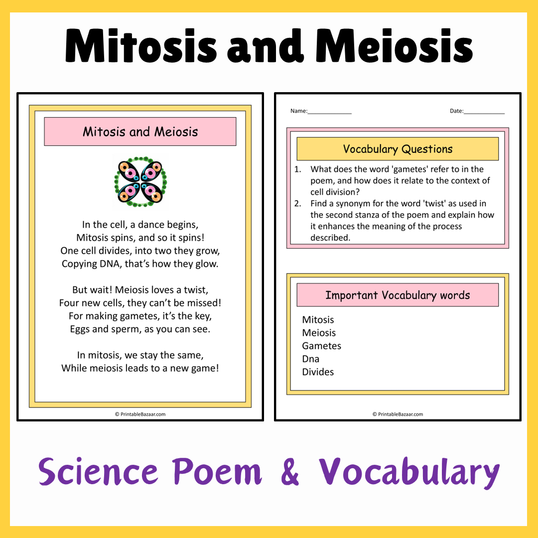 Mitosis and Meiosis | Science Poem Reading Comprehension Activity