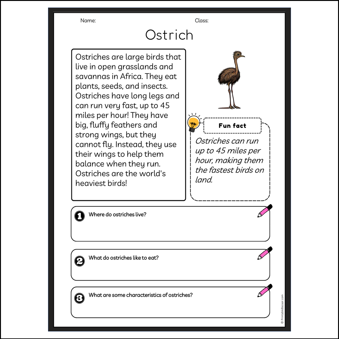 Ostrich | Reading Passage Comprehension Questions Writing Facts Worksheet