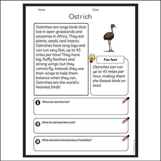 Ostrich | Reading Passage Comprehension Questions Writing Facts Worksheet