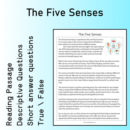 The Five Senses | Reading Comprehension Passage Printable Worksheet