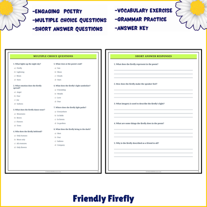 Friendly Firefly | Poem Grammar Worksheet Printable Activity