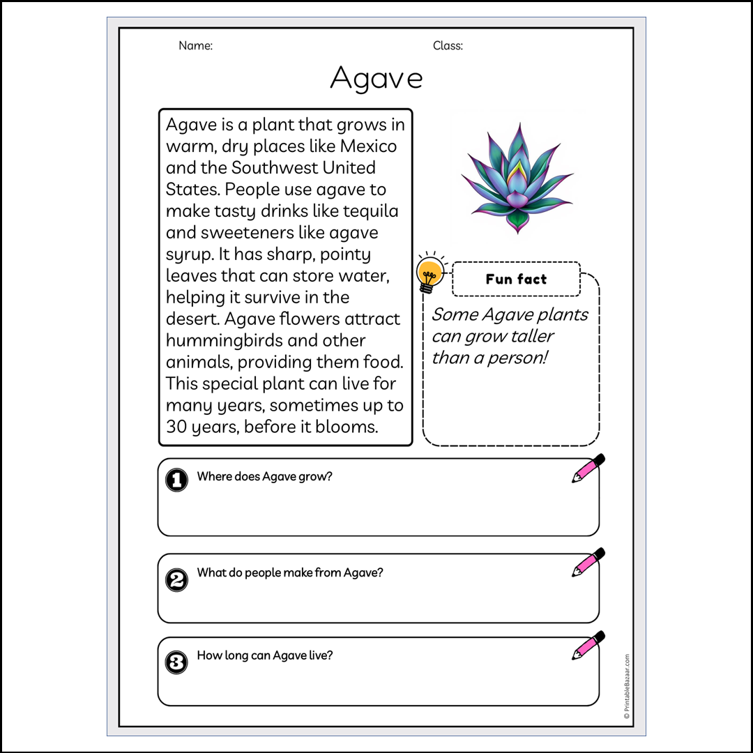 Agave | Reading Passage Comprehension Questions Writing Facts Worksheet