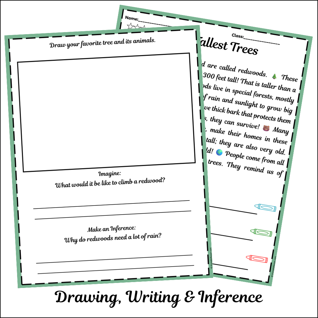 Tallest Trees | Short Reading Comprehension Creative Worksheet