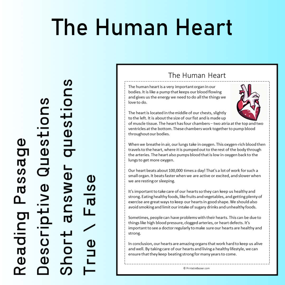 The Human Heart | Reading Comprehension Passage Printable Worksheet