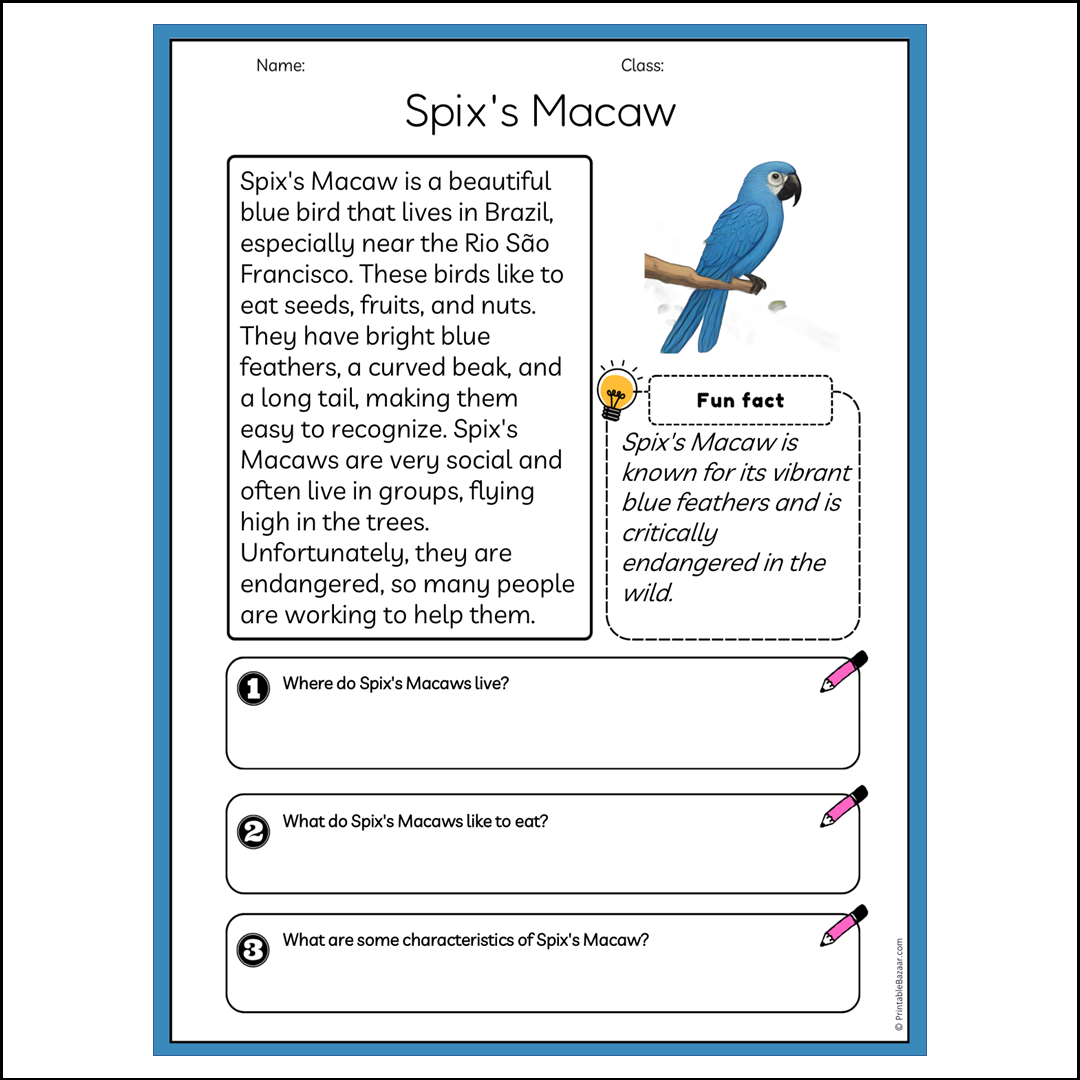 Spix's Macaw | Reading Passage Comprehension Questions Writing Facts Worksheet