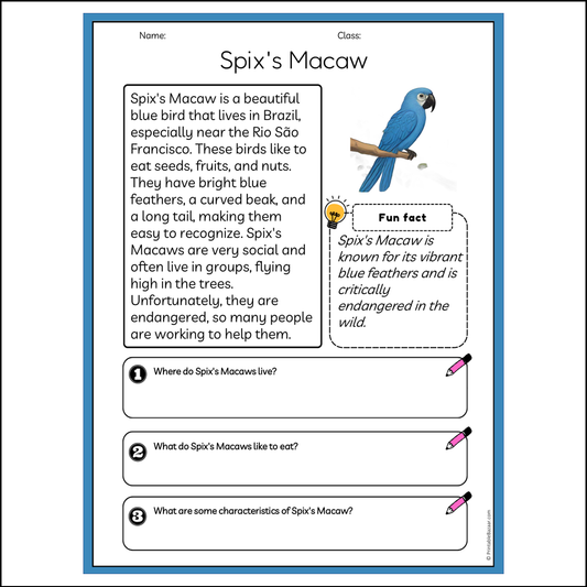 Spix's Macaw | Reading Passage Comprehension Questions Writing Facts Worksheet