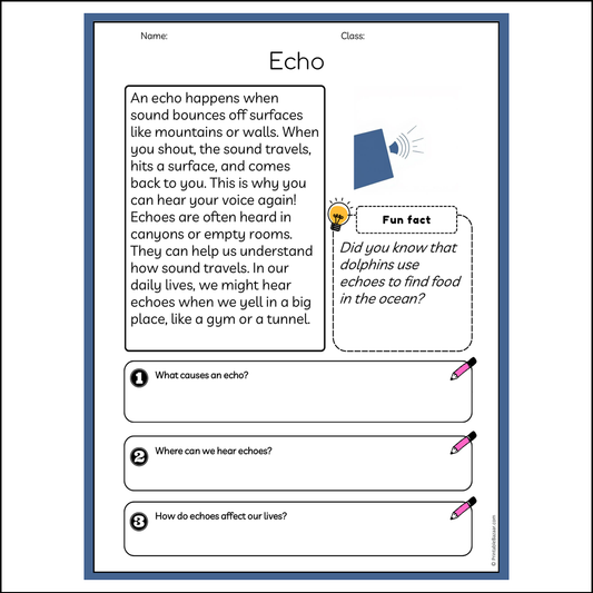 Echo | Reading Passage Comprehension Questions Writing Facts Worksheet