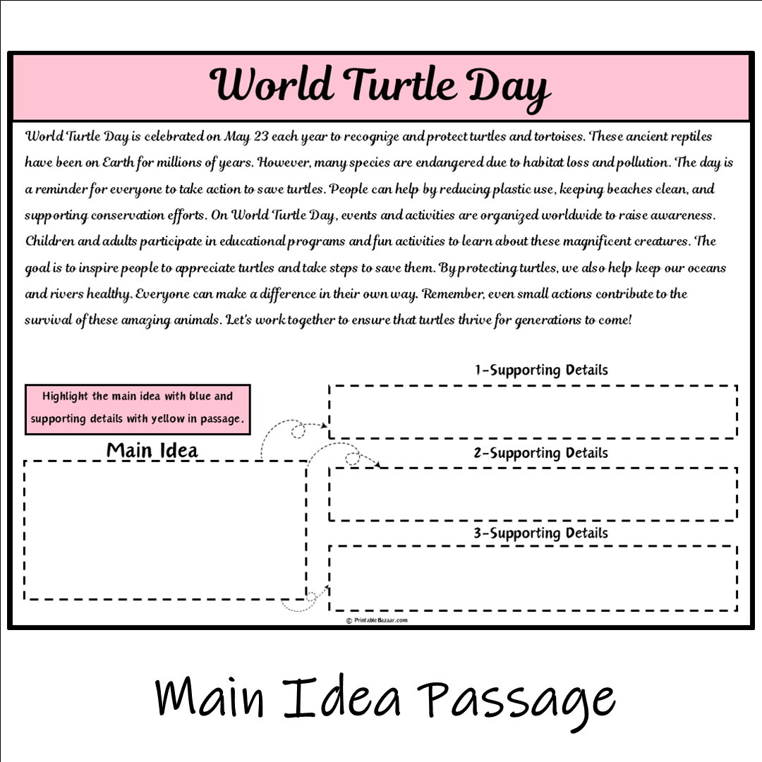 World Turtle Day | Main Idea and Supporting Details Reading Passage and Questions