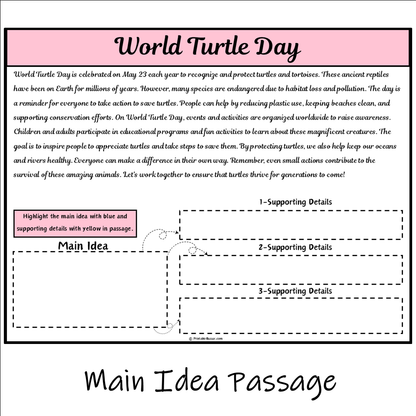 World Turtle Day | Main Idea and Supporting Details Reading Passage and Questions