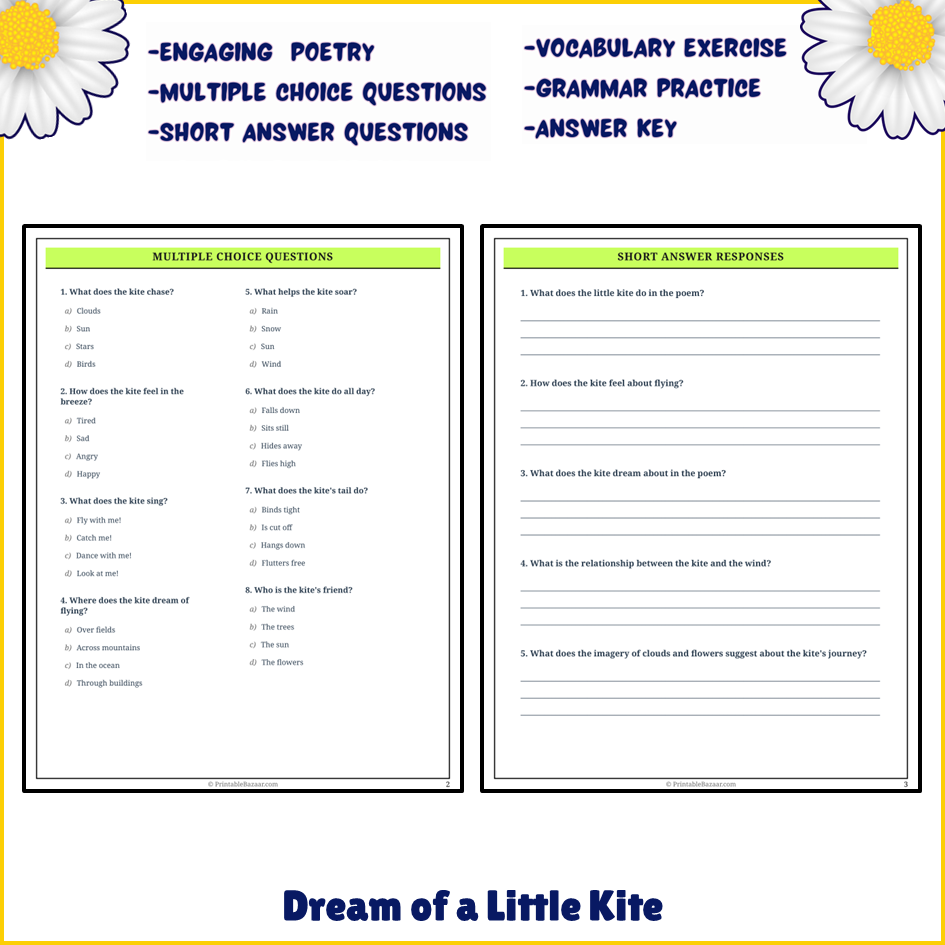 Dream of a Little Kite | Poem Grammar Worksheet Printable Activity