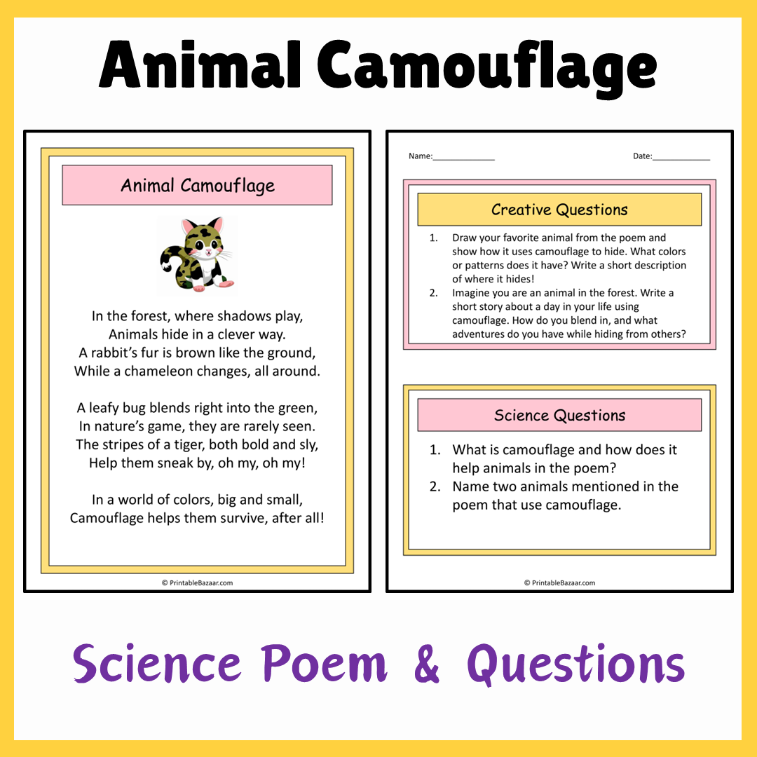 Animal Camouflage | Science Poem Reading Comprehension Activity