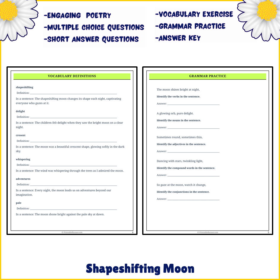 Shapeshifting Moon | Poem Grammar Worksheet Printable Activity