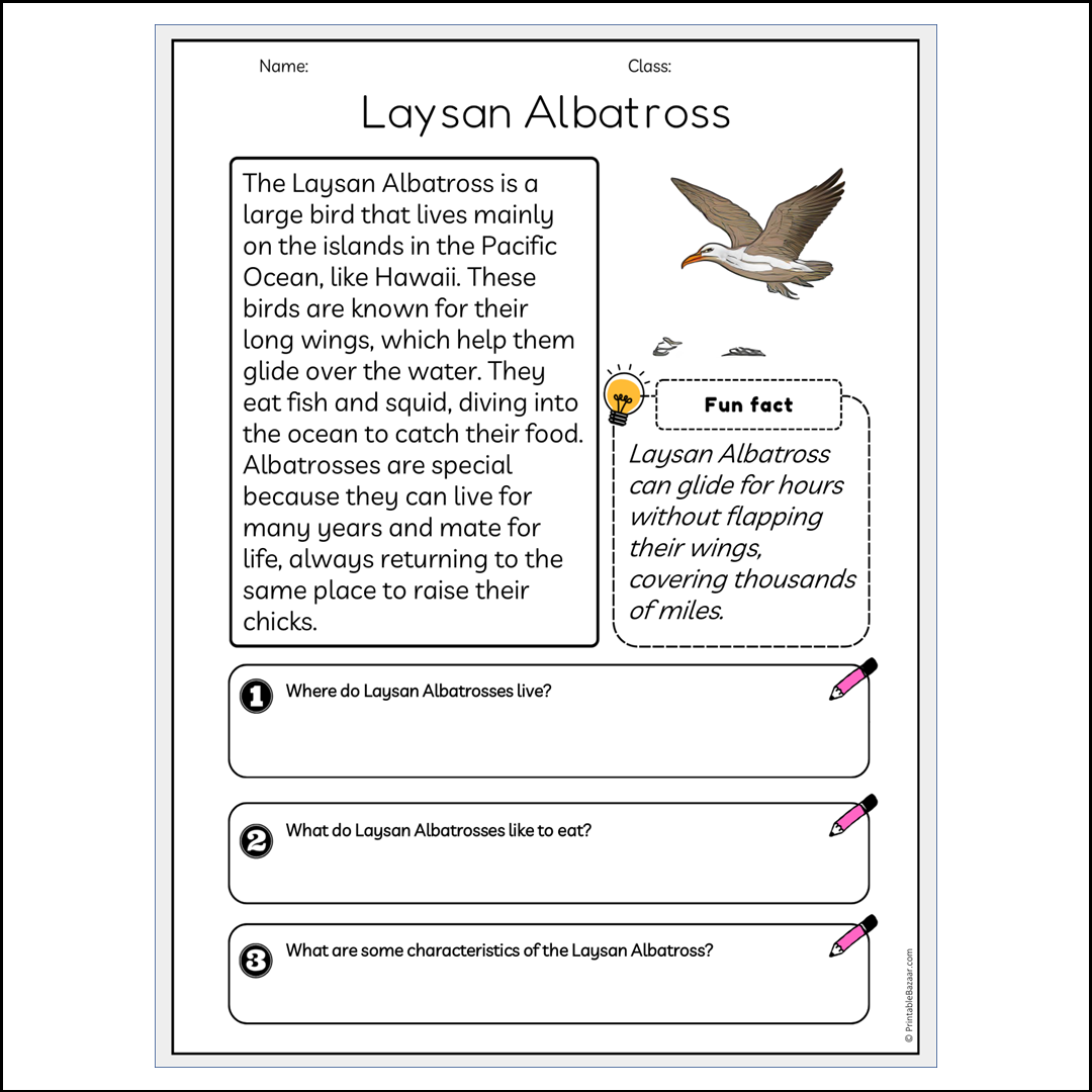 Laysan Albatross | Reading Passage Comprehension Questions Writing Facts Worksheet