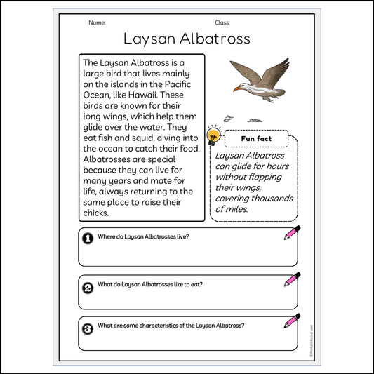 Laysan Albatross | Reading Passage Comprehension Questions Writing Facts Worksheet