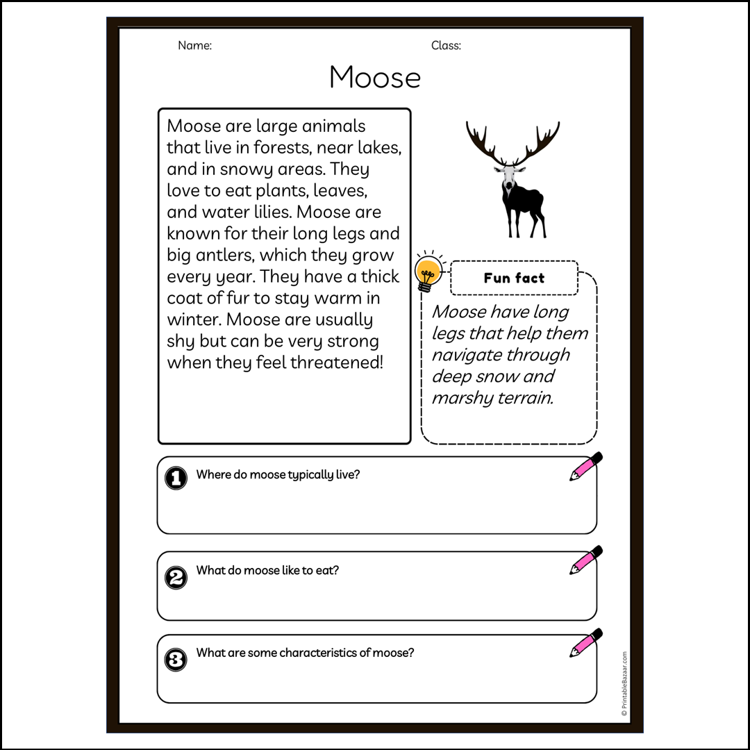 Moose | Reading Passage Comprehension Questions Writing Facts Worksheet