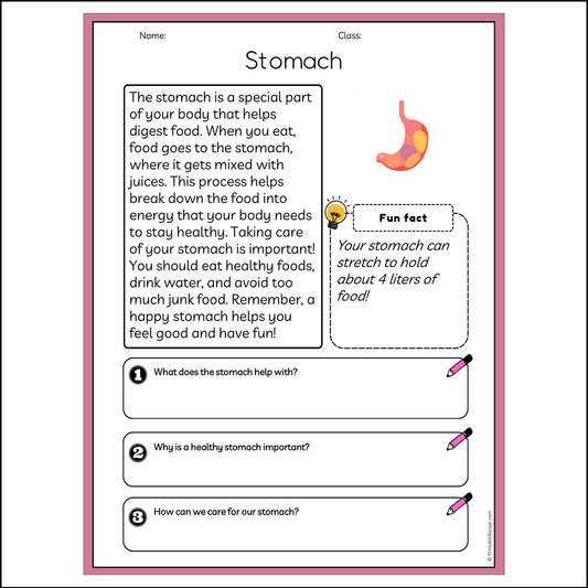 Stomach | Reading Passage Comprehension Questions Writing Facts Worksheet