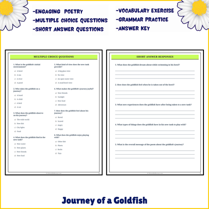 Journey of a Goldfish | Poem Grammar Worksheet Printable Activity