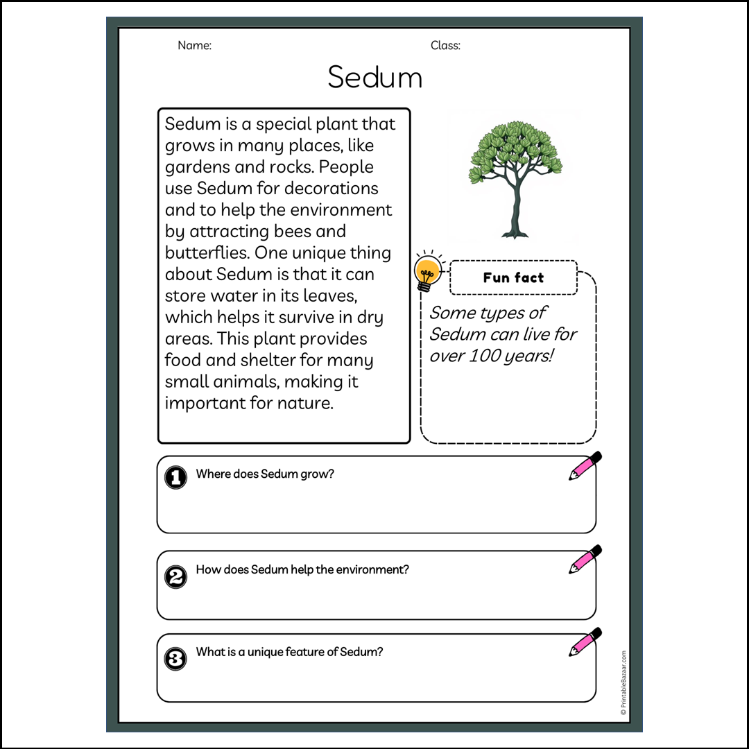 Sedum | Reading Passage Comprehension Questions Writing Facts Worksheet