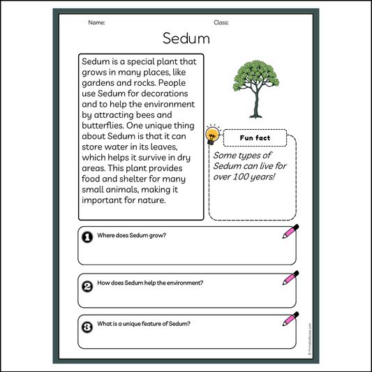 Sedum | Reading Passage Comprehension Questions Writing Facts Worksheet