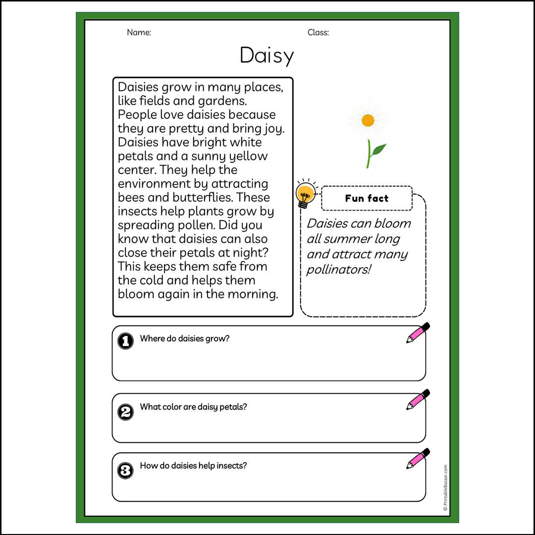 Daisy | Reading Passage Comprehension Questions Writing Facts Worksheet