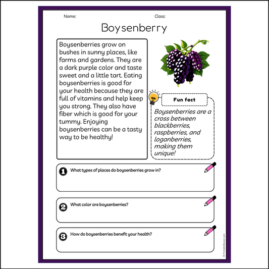 Boysenberry | Reading Passage Comprehension Questions Writing Facts Worksheet