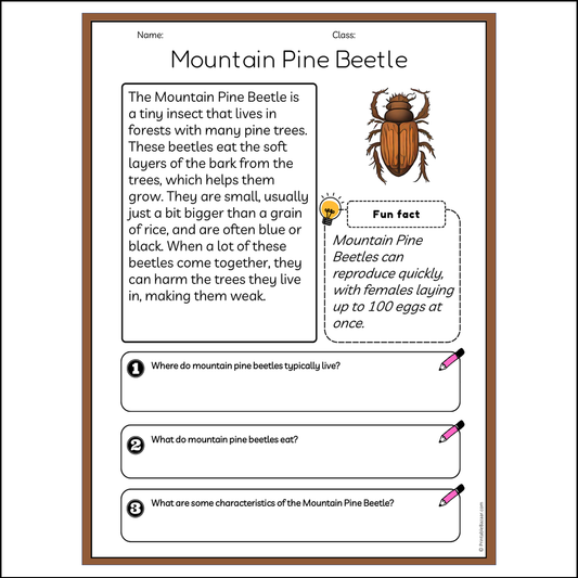 Mountain Pine Beetle | Reading Passage Comprehension Questions Writing Facts Worksheet